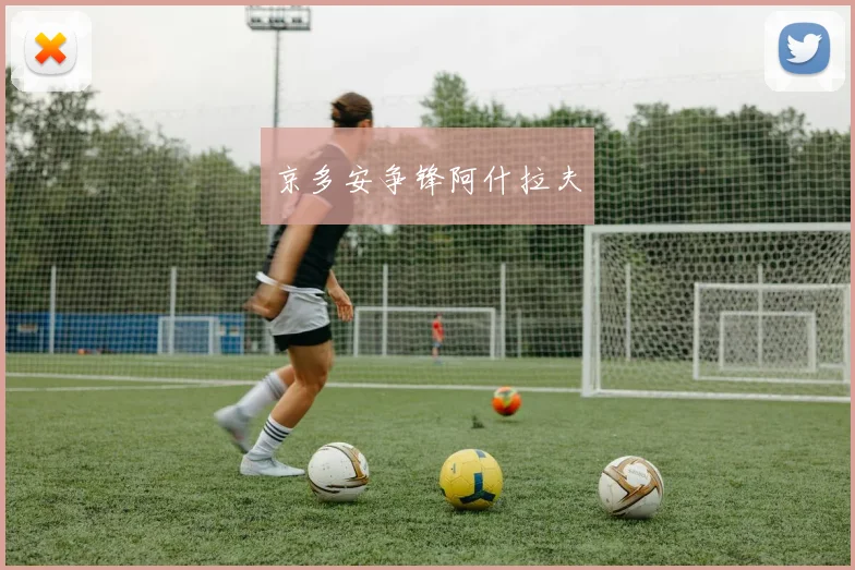 京多安争锋阿什拉夫