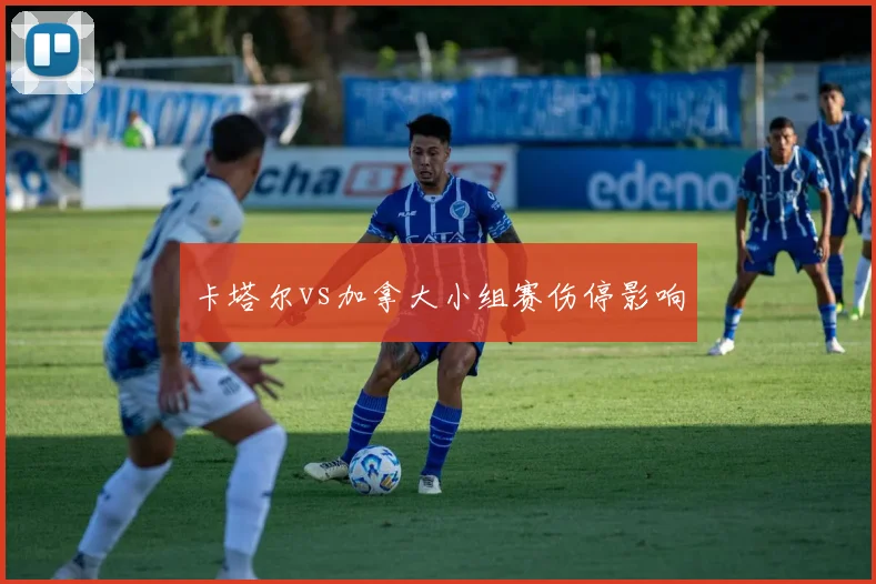卡塔尔vs加拿大小组赛伤停影响