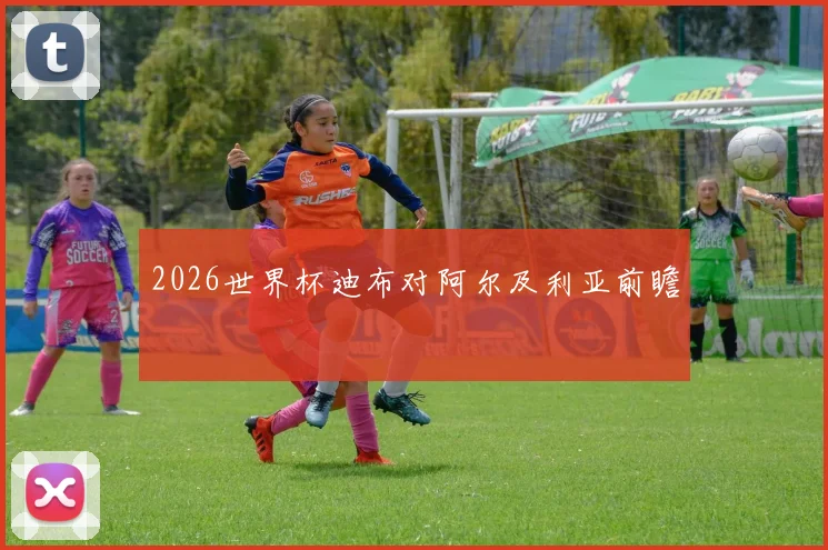 2026世界杯迪布对阿尔及利亚前瞻