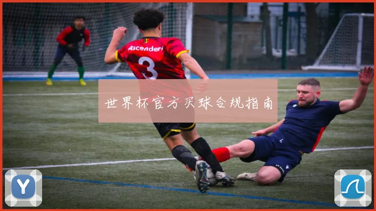 世界杯官方买球合规指南